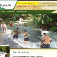 Website Portfolio